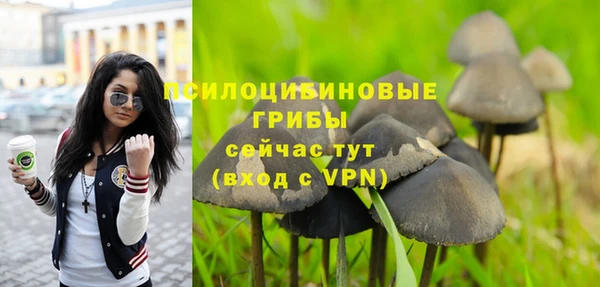 прущий лед Нея