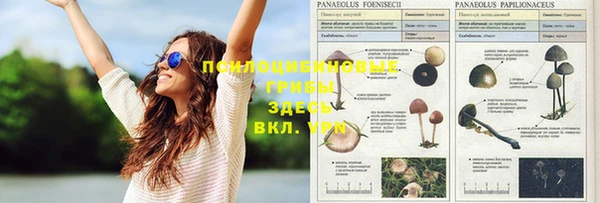 jwh Нефтегорск