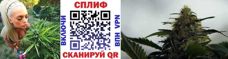Купить где  Рыбинск  Марихуана Bruce Banner 